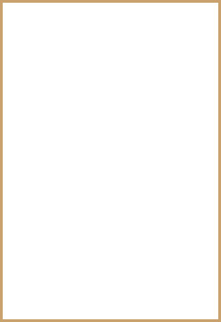 �v���t�B�[��
